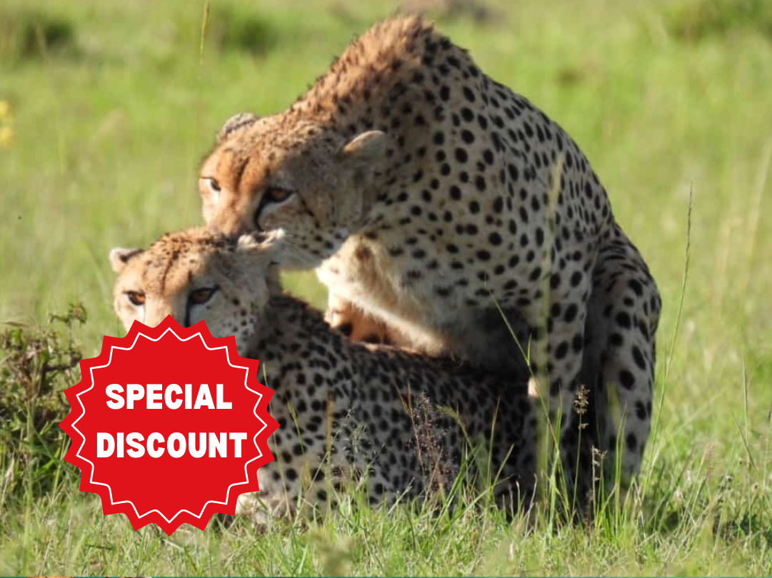 romantic-tanzania-honeymoon-safari-packages